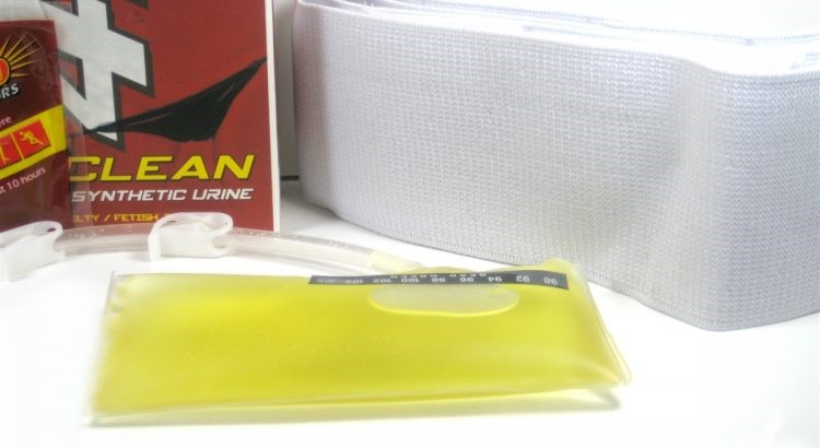 Synthetic Urine Kit Seaboard Heights Greenwood SC